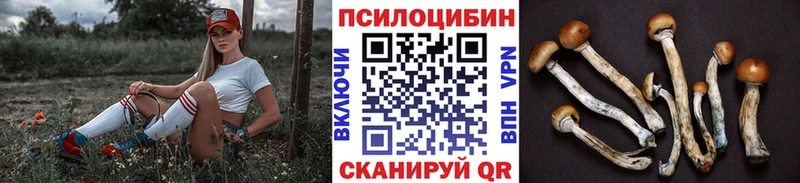Псилоцибиновые грибы прущие грибы  Йошкар-Ола 